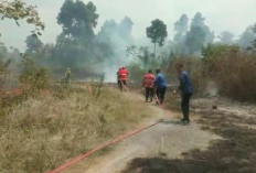 Dua Kebakaran Lahan Terjadi di Kalianda, Diduga Dipicu Pembakaran Sampah