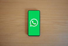 Fitur Username WhatsApp Tuai Kekhawatiran, Berpotensi Memicu Modus Penipuan Baru