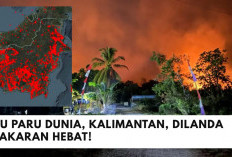 Kabut Asap dari Kalimantan Lintas Negara, Malaysia Ikut Terdampak