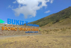 Pemerintah Siapkan Water Bombing untuk Bantu Padamkan Karhutla di Gunung Bromo