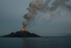 Anak Krakatau Erupsi Tiga Kali, Puluhan Gempa Vulkanik Terekam