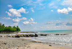 Air Laut Surut Tak Selalu Berarti Tsunami, Masyarakat Tetap Perlu Waspada