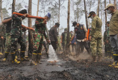 Gubernur Mirza Perkuat Penanganan Karhutla TNWK, Pemadaman Dikebut dan Kesehatan Warga Jadi Perhatian