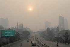 Kualitas Udara Pekanbaru Tidak Sehat, Ini Data BMKG
