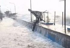 Rob Genangi Marina Ancol, Akses Kendaraan Sempat Dialihkan