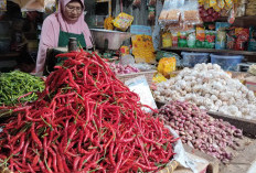 Harga Cabai di Lampung Melonjak pada Awal Mei 2026, Cabai Rawit Sentuh Rp64 Ribu per Kilogram