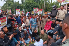 Bola Liar KUHP Pasal Pemberitahuan Demonstrasi dan Penghinaan Terhadap Pemerintah & Lembaga Negara