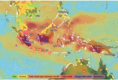MUI Desak Pemerintah Tuntaskan Karhutla, Serukan Taubat Nasuha