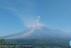 Gunung Semeru Kembali Erupsi, Abu Vulkanik Capai 1,3 Kilometer