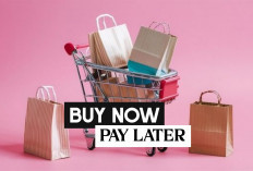 Paylater Makin Diminati, Kemudahan yang Perlu Diwaspadai