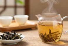 Rahasia di Balik Cangkir Oolong, Mengapa Teh Klasik Ini Kembali Dilirik?
