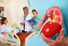 Pola Hidup Modern Picu Risiko Kanker Ginjal, Waspadai Sejak Sekarang