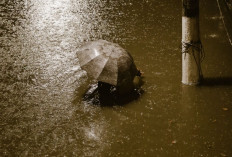 Topan Dolphin Landa China, Beijing hingga Henan Dilanda Banjir