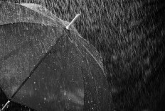 Waspada Hujan Petir: Prakiraan Cuaca Lampung Hari Ini, Sabtu 6 Desember 2025