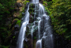 Pengunjung Hilang Saat Berwisata di Air Terjun Sembilan Putri, Damkar Lampung Selatan Turun Tangan