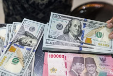 Rupiah Kembali Melemah ke Rp17.884, Pasar Cermati Arah The Fed