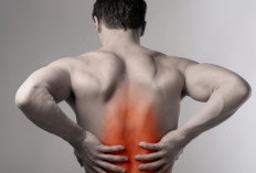 Jangan Remehkan Nyeri Punggung! Ini 5 Trik Cerdas Cegah Saraf Terjepit akibat Terlalu Lama Duduk Bekerja