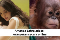 Amanda Zahra Adopsi Orangutan, Ajak Masyarakat Peduli Kelestarian Satwa Kalimantan