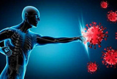 Tetap Sehat dan Produktif di Tengah Cuaca Tak Menentu, Ini Tips Jaga Imun Tubuhmu!