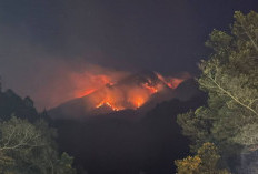 36 Titik Api Kepung Lereng Gunung Lawu, Helikopter Terhalang Asap Pekat