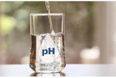 Air pH Tinggi vs Air Biasa: Mana yang Lebih Sehat?