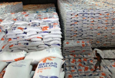 Beras Premium Langka di Ritel Modern, Pemerintah Tambah Pasokan Bulog