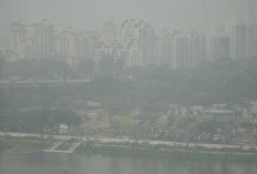 WMO Sebut Kabut Asap Karhutla Indonesia Salah Satu yang Terburuk di Asia Tenggara