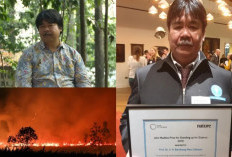 Kisah Prof Bambang Hero, Guru Besar IPB Penyelamat Hutan Indonesia
