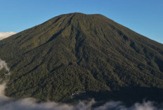 Gunung Dempo, Pesona Atap Sumatera Selatan yang Jadi Magnet Pendaki