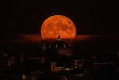 Sturgeon Moon Muncul Malam Ini, Fenomena Bulan Purnama yang Sayang Dilewatkan