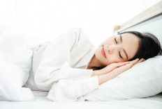 Ini Manfaat Dari Tidur Siang yang Jarang Diketahui Banyak Orang