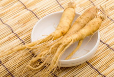  Beragam Manfaat Ginseng untuk Kesehatan Tubuh
