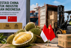 Mendag Buka Peluang Investasi China untuk Industri Durian Indonesia