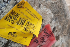 Bukan Illegal Logging: Polisi Sebut Kayu Gelondongan Terdampar di Lampung Berasal dari Kapal Rusak