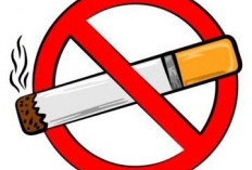 Sayangi Paru dan Kantong Anda! Ini 5 Trik Cerdas Berhenti Merokok Tanpa Rasa Siksa