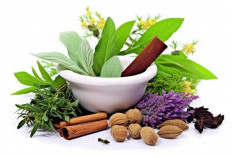 Gak Nyangka! Makanan Herbal Ini Bisa Menurunkan Gula Darah Tinggi