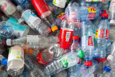 Terlalu Banyak Minum Kemasan Botol Bisa Berdampak pada Kesehatan