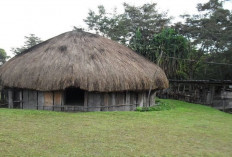 Mengenal Rumah Honai: Keunikan Arsitektur Tradisional dan Filosofi Suku Dani di Papua