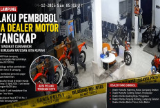 Polda Lampung Ringkus Pelaku Pembobolan Dealer Motor yang Diduga Terhubung Sindikat Curanmor