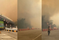 Asap Karhutla Selimuti Tol Lampung, Api Masih Terlihat di Wilayah Tulang Bawang