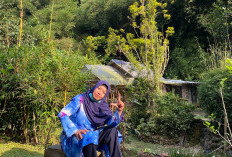 28 Tahun Rawat Hutan Bambu, Umi Lora Sulap Bekas Illegal Logging Jadi Kawasan Hijau