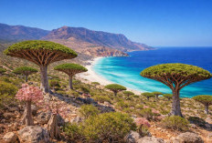 Pohon Berdarah dan Hewan Jassasah: Keunikan Pulau Socotra Yang Sering Disebut Tempat Persembunyian Dajjal?