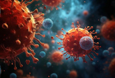 Selama Ini Menyerang Hewan Ternak, Virus Shamonda Kini Ditemukan pada Manusia
