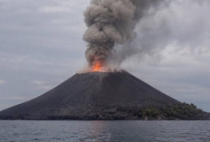Abu Vulkanik Gunung Anak Krakatau Terpantau hingga 6.000 Kaki, Bergerak ke Selatan-Barat Daya