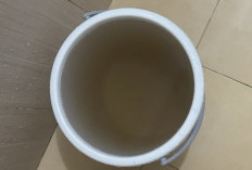 Diduga Terkontaminasi Air Bersih, 146 Warga Serpong Lagoon Alami Diare dan Muntaber Massal