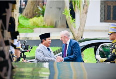 Dari Ketahanan Pangan hingga SDM, Prabowo - Albanese Perluas Kerja Sama Strategis