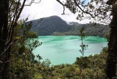 Mengenal Danau Laut Tinggal, Danau Purba di Kawasan Hutan Sumatera Barat