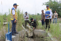 BBWS Mesuji Sekampung Percepat Perbaikan Irigasi Way Gemol yang Rusak Akibat Luapan Air Hujan