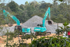 Status Izin Geothermal Sekincau Selatan Belum Terang, Laskar Lampung Siapkan Langkah ke Ombudsman