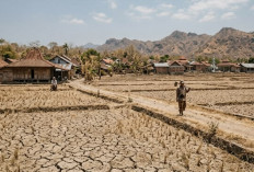 Kemarau Mulai Bikin Warga Kesulitan Air Bersih, BNPB Minta Daerah Siaga
